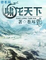 啸龙天下